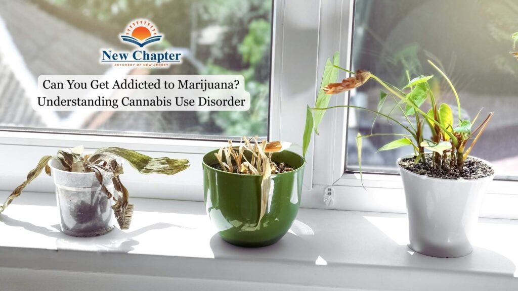 Can You Get Addicted to Marijuana Understanding Cannabis Use Disorder