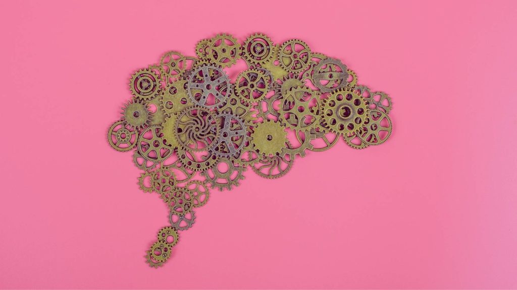 Brain made of gears representing how opioids affect brain function.
