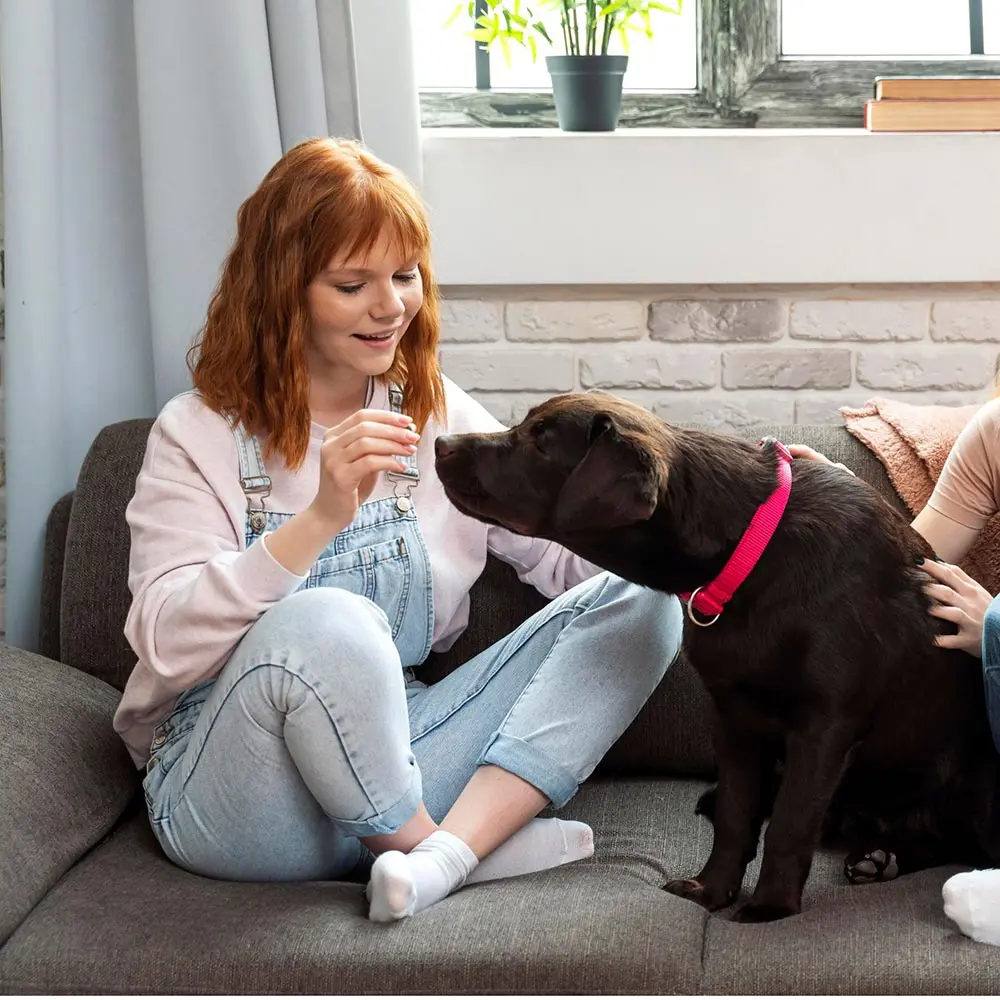 girl enjoying animal-assisted therapy for addiction in New Jersey