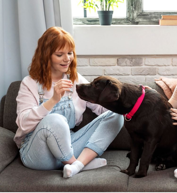 animal-assisted therapy benefits animal-assisted therapy for addiction