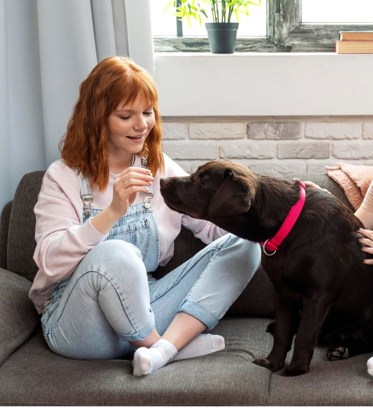 animal-assisted therapy for addiction